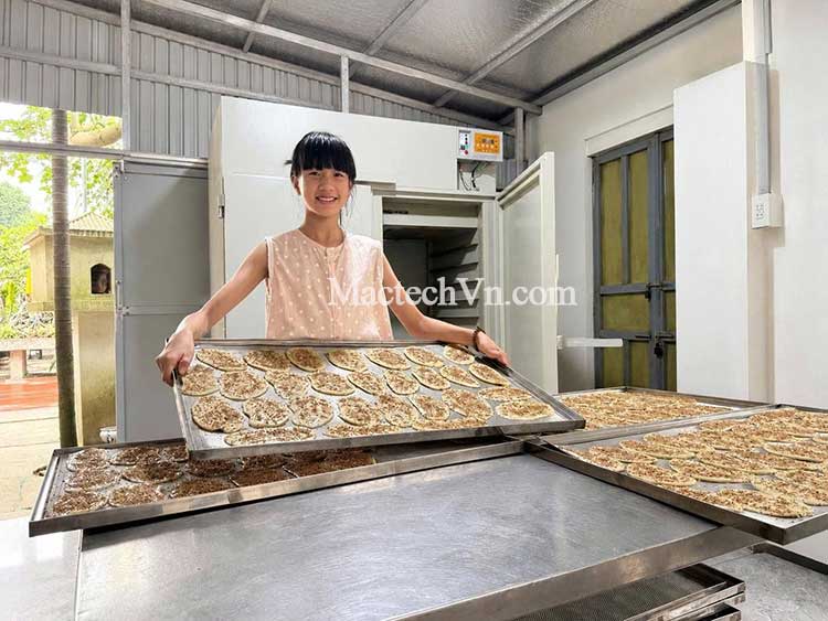 máy sấy dân dụng msd2000 sấy bánh chuối, sấy chuối dẻo