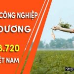 Bán máy sấy công nghiệp tại Hải Dương – Cty Mactech Việt Nam