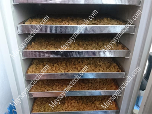 Máy sấy hoa quả