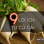 9 Lợi ích từ củ cải trắng mang lại