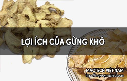 Lợi ích của gừng sấy khô, một loại đồ khô đa năng
