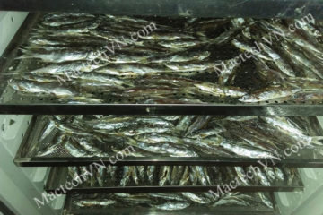 Máy sấy cá khô gia đình, phù hợp sấy 10kg, 20kg và 50kg cá tươi