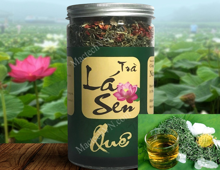 Cách ướp trà sen truyền thống - giữ nguyên vẹn tinh hoa Trà Việt