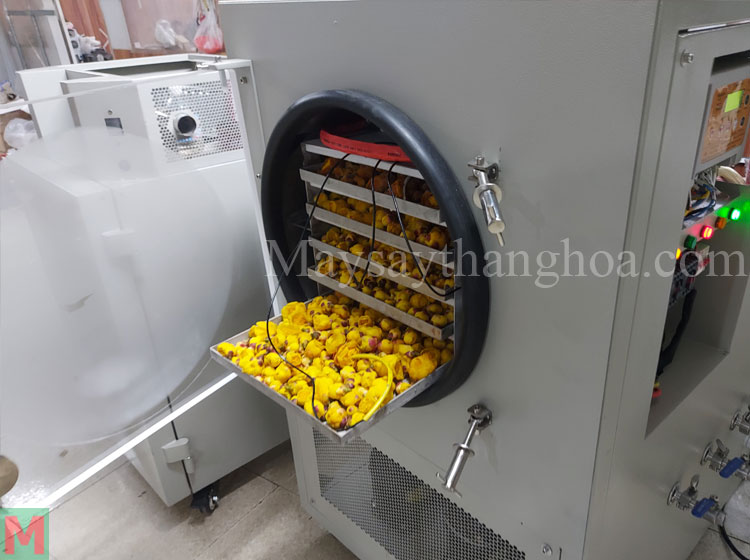 A small freeze-drying machine is suitable to use at home, drying for fruit, vegetable, meat...