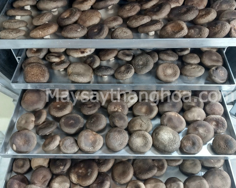 home dried food dryer, to meet drying for 10kg, 20kg products