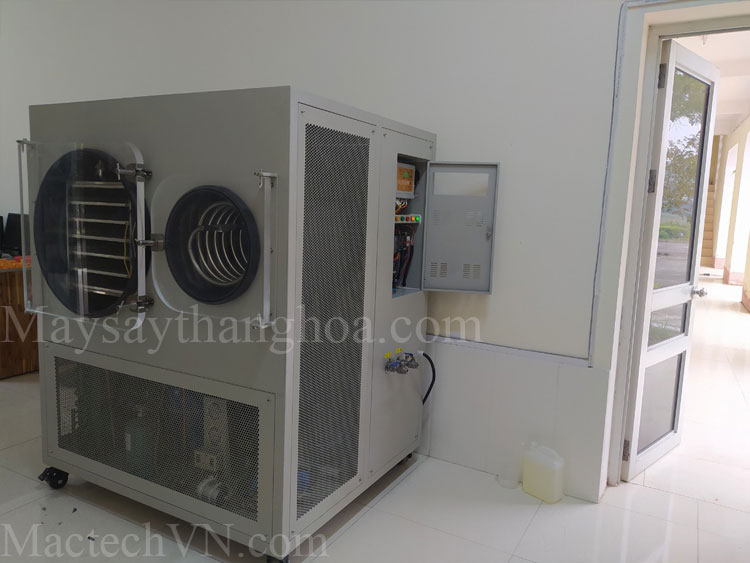 đại học tân trào tuyên quang, sản xuất nấm đông trùng, sử dụng sấy thăng hoa 10kg