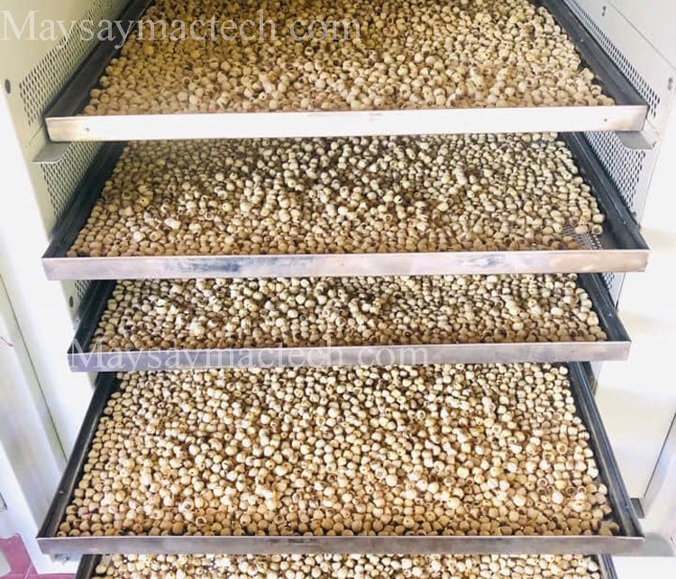 hạt sen sấy lạnh hay sấy nóng