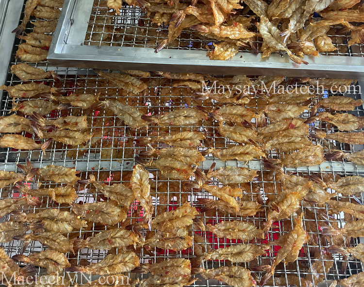Tôm khô nên sấy nóng hay sấy lạnh