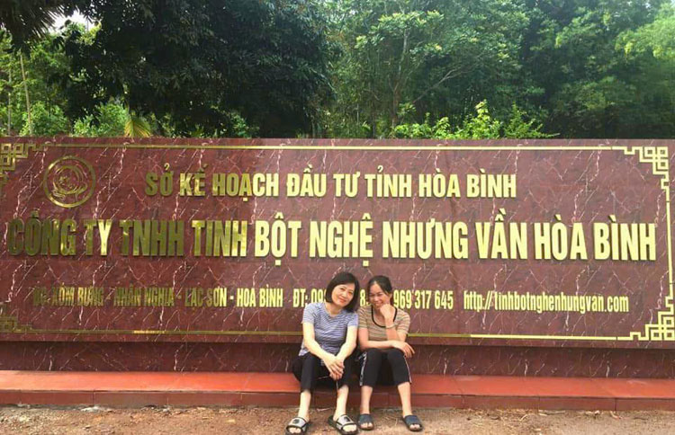 tinh bột nghệ nhưng vần, hoà bình