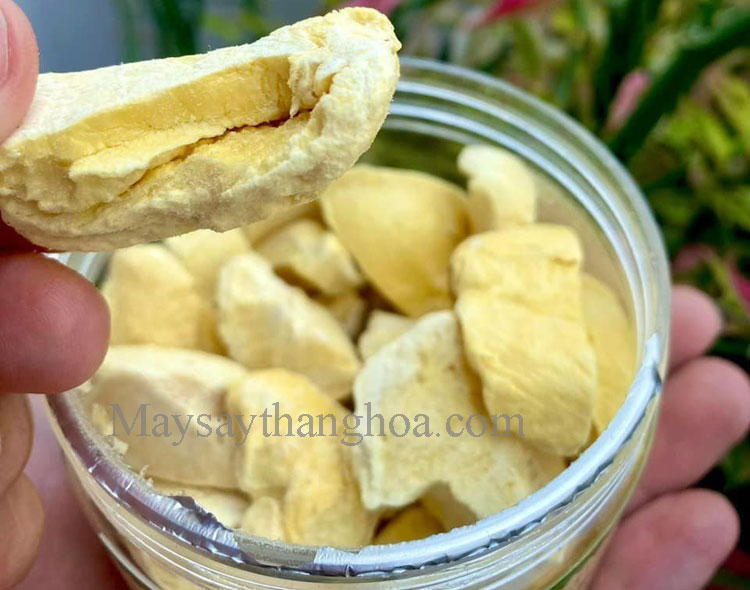 sầu riêng sấy khô giòn, xốp, máy sấy hoa quả khô giòn