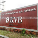 Công ty KVB Lông mi giả, sử dụng máy sấy nhiệt cao Mactech