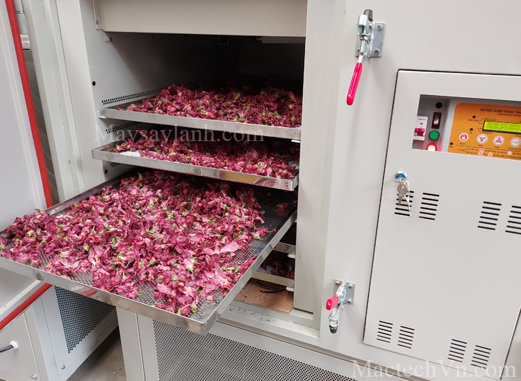 nguyên lý sấy lạnh, nhiệt độ sấy lạnh và ứng dụng thực tế