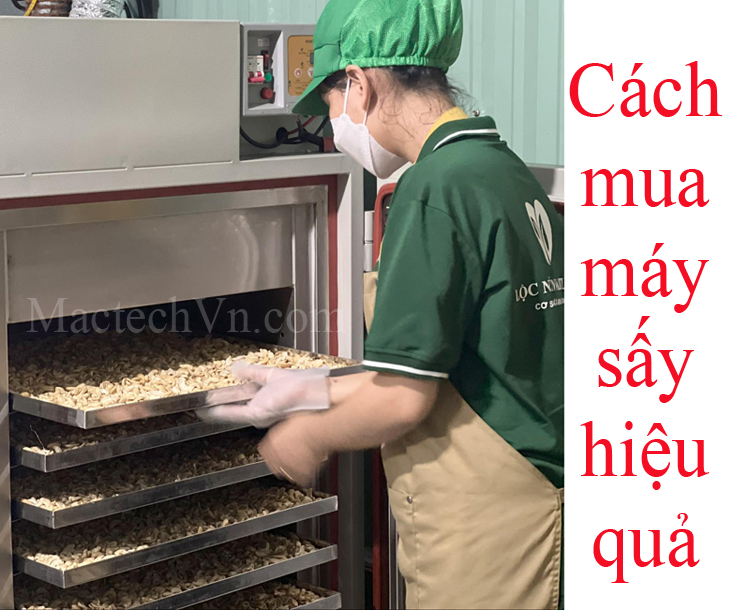 cách mua máy sấy hiệu quả, mua đúng máy sấy khô, sấy giòn, sấy dẻo...