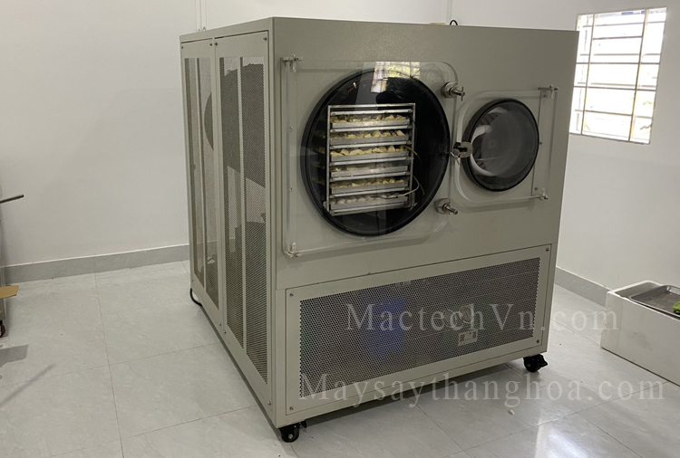 máy sấy thăng hoa được sử dụng cho sấy hoa quả công nghệ cao
