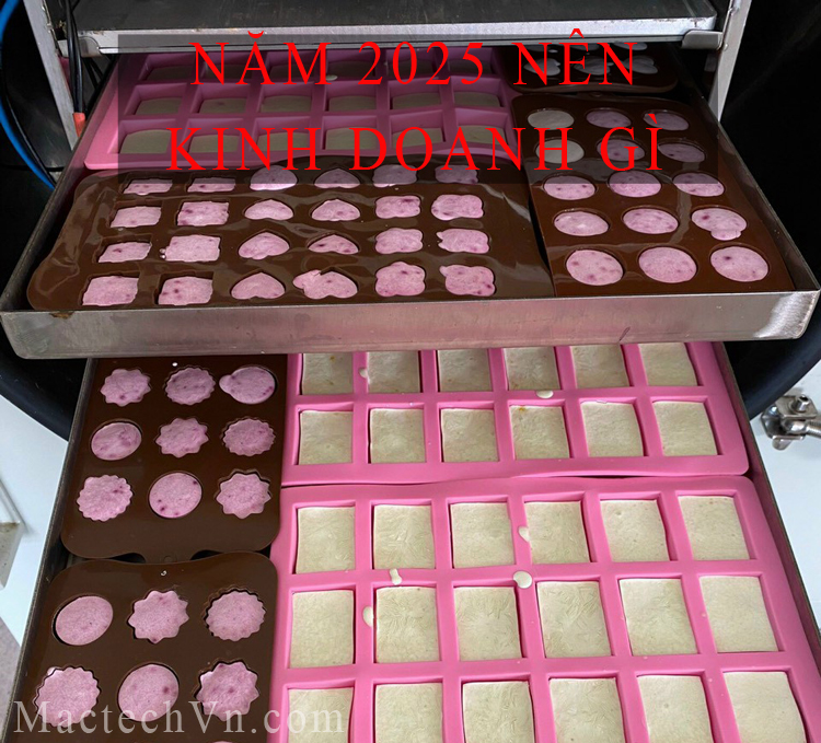 năm 2025 nên kinh doanh sản phẩm gì, hiểu rõ định hướng của nhà nước