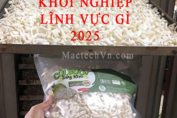 Khởi nghiệp lĩnh vực gì 2025 trở đi, chính phủ ưu tiên ngành nghề gì