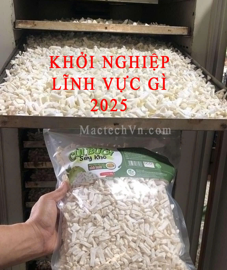 khởi nghiệp lĩnh vực gì 2025