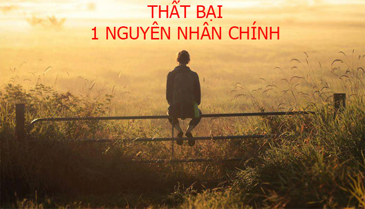 nguyên nhân dẫn tới thất bại, nguyên nhân chủ yếu