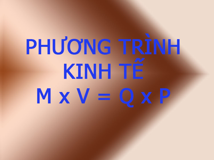 phương trình kinh tế mxv=qxp, hiểu được là hiểu nền kinh tế