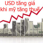 usd tăng giá khi mỹ tăng thuế với hàng nhập khẩu