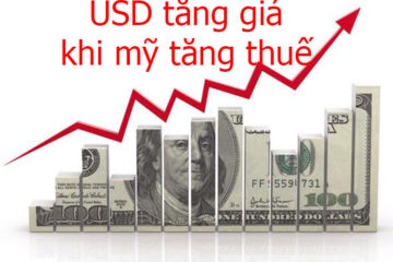 USD tăng giá khi đánh thuế hàng nhập khẩu vào Mỹ, vì sao như vậy