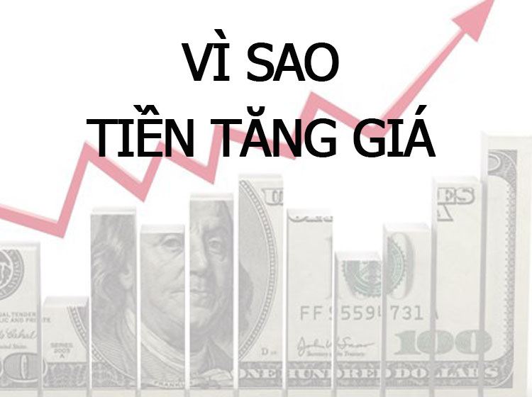 vì sao tiền tăng giá, giảm giá, hiểu tiền để hiểu kinh tế vận hành