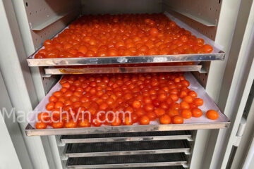 Máy sấy lòng đỏ trứng gà, sấy trứng muối, hiểu nhiệt độ sấy phù hợp