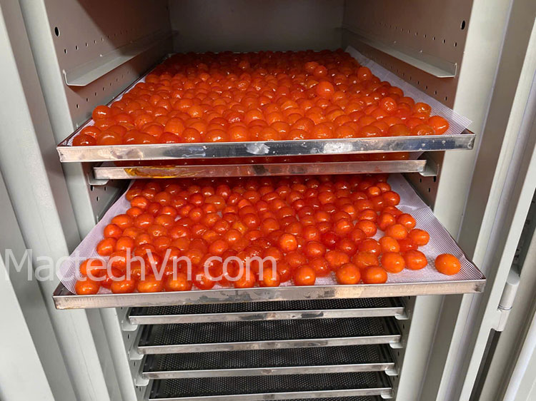 sấy lòng đỏ trứng muối, trứng gà