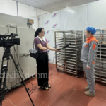 cơ sở sản xuất lòng đỏ trứng muối, trứng cút bắc thảo, cơ sở trứng thái diệp