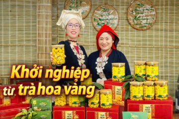 Khởi nghiệp từ trà hoa vàng – Hướng đi bền vững trong trồng trọt
