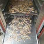 hiểu rõ từng loại máy sấy khô cho rau củ, thực phẩm, nông sản