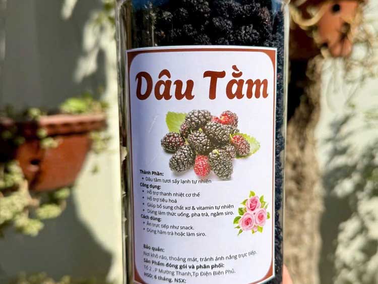 Giải pháp máy sấy dâu tằm – hướng đi hiệu quả để kinh doanh dâu tằm sấy khô