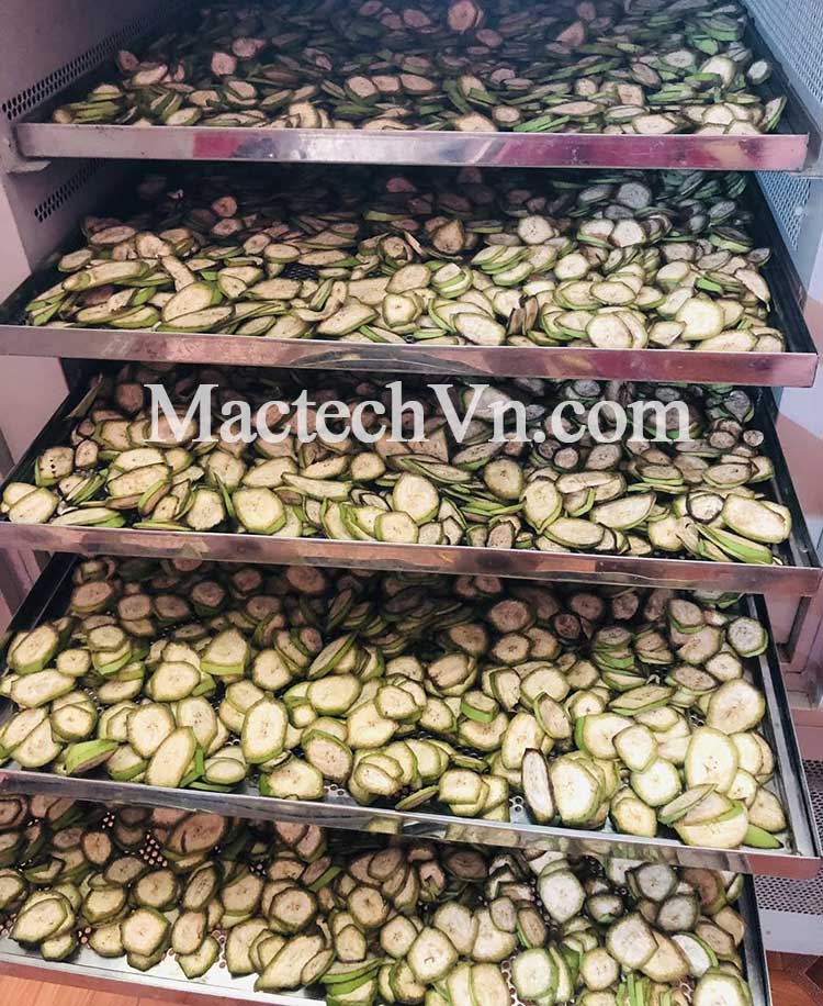 máy sấy bột chuối hột, sấy khô chuối xanh làm bột chuối, bột dược liệu