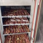 Tủ sấy nhiệt 160 độ, sấy nông sản, thực phẩm, ngũ cốc và linh kiện