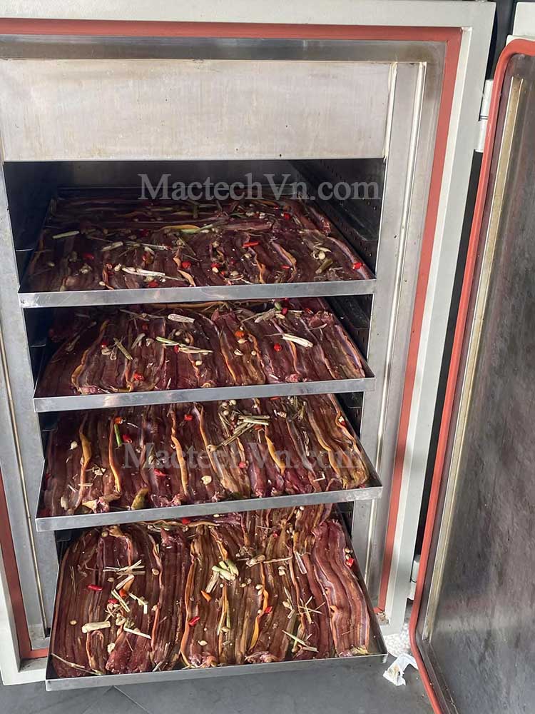 Tủ sấy nhiệt 160°C – Khi một chiếc máy làm được “hai vai”, sấy dân dụng và sấy công nghiệp