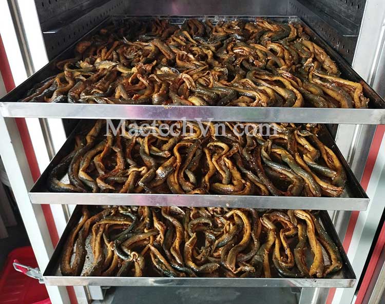 Tủ sấy nhiệt 100°C – Giải pháp tối ưu cho sấy rau củ, nông sản, thảo dược và thịt khô