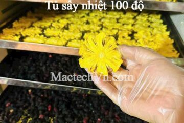 Tủ sấy nhiệt 100 độ, rất hiệu quả cho sấy rau củ quả, thảo dược, thịt khô