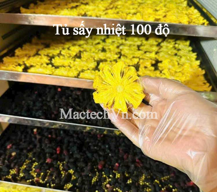 Tủ sấy nhiệt 100°C – Giải pháp tối ưu cho sấy rau củ, nông sản, thảo dược và thịt khô