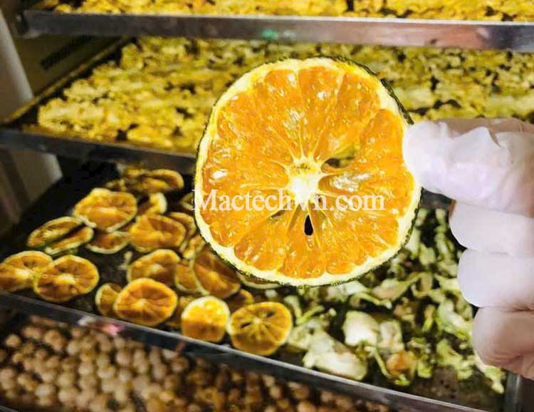 TIỀM NĂNG KINH DOANH HOA QUẢ SẤY DẺO TRONG GIAI ĐOẠN “LÀM THẬT – ĂN THẬT”