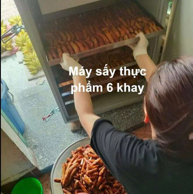 Máy sấy thực phẩm 6 khay hiện nay là dòng khá phù hợp cho người mới bắt đầu kinh doanh thực phẩm sấy quy mô nhỏ. Đây là nhóm máy có kích thước gọn, dễ sử dụng và không cần đầu tư quá lớn ngay từ đầu.