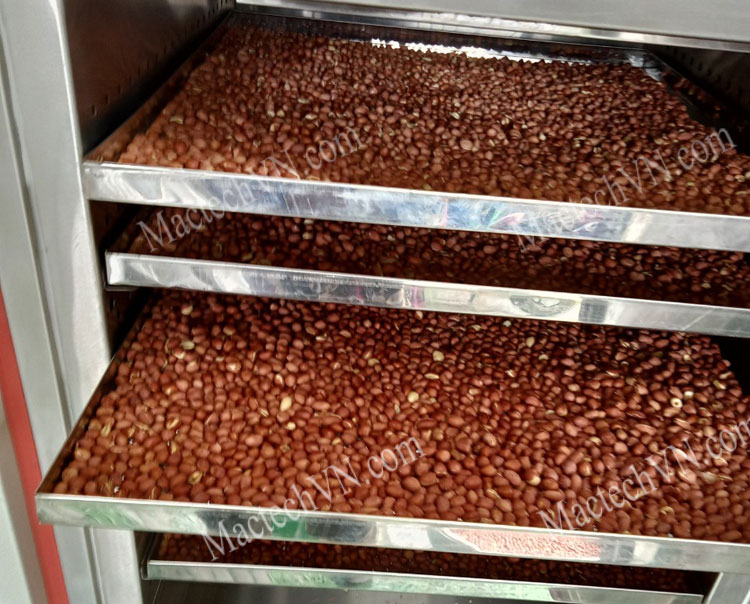 máy sấy ngũ cốc chín giòn, sấy đậu phộng