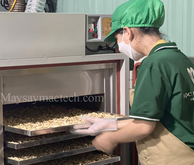 máy sấy ngũ cốc chín giòn, sấy đậu phộng, macca, óc chó...