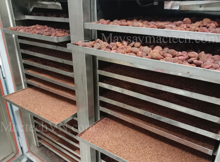 máy sấy ngũ cốc, sấy khô sấy chín giòn các loại hạt ngũ cốc, macca, đậu nành, ...