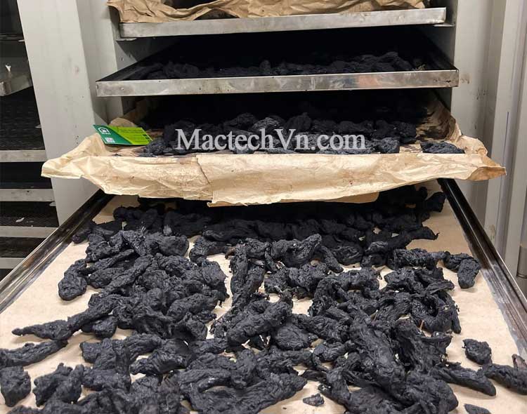 tủ sấy dược liệu 30 khay sấy kích thước lớn, sấy dược liệu, thảo dược, sấy cây thuốc, sấy thục khô...